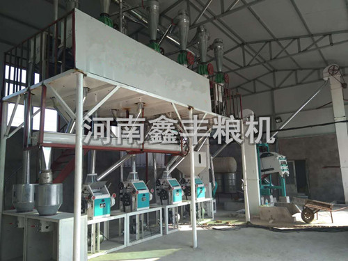 內蒙古塔爾湖四組面粉機安裝案例